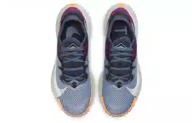 Nike Pegasus Trail 2