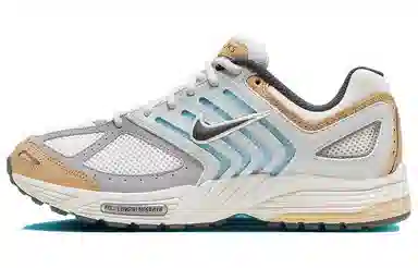 Nike Air Pegasus 2005 White Blue Brown