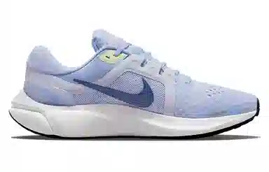 Nike Air Zoom Vomero 16