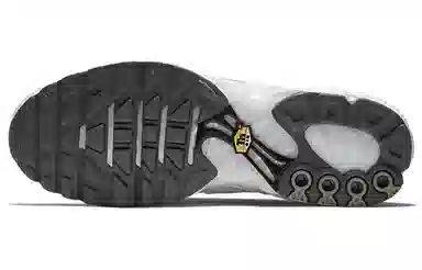 Nike Air Max Plus White