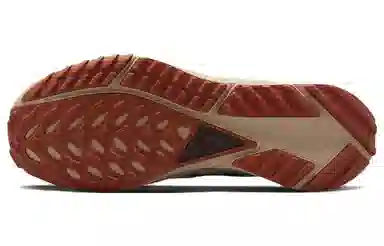 Nike Pegasus Trail 4 Brown