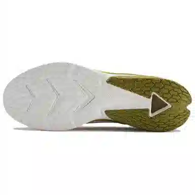 DESCENTE LAVITATE WIRE 2.0