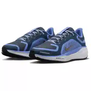 Nike Pegasus 41 GORE-TEX