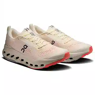 On Cloudsurfer Trail 2