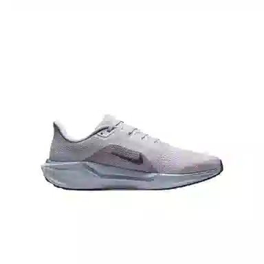 Nike Pegasus 41 White Grey