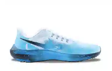 Nike Air Zoom Pegasus 39