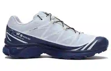 Salomon XT-6