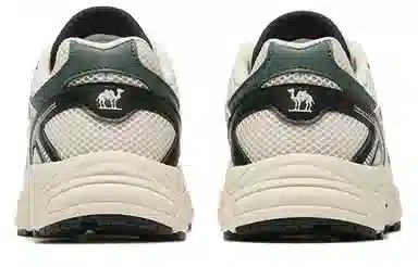 CAMEL Light Shadow 2.0