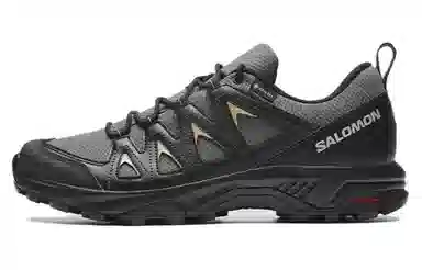 Salomon X Braze GTX
