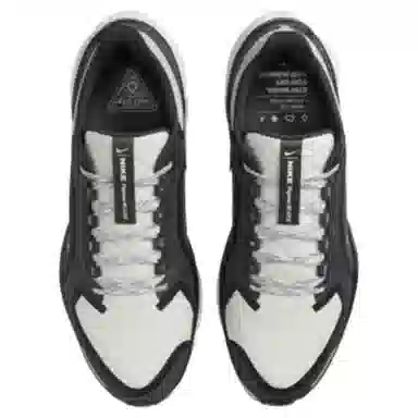 Nike Pegasus 41 GORE-TEX