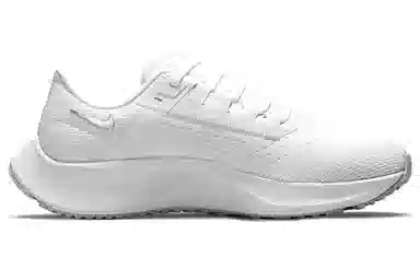 Nike Pegasus 38 White Silver