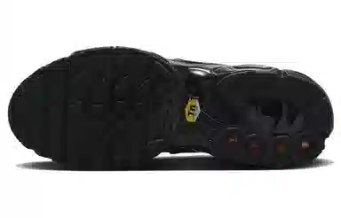 Nike Air Max Plus Black