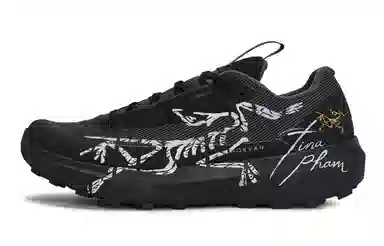 Arcteryx Norvan LD 4 811