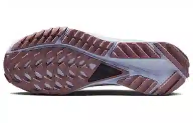 Nike Pegasus Trail 4 Grey White