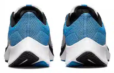 Nike Pegasus 38 White