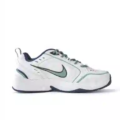 Nike Air Monarch 4