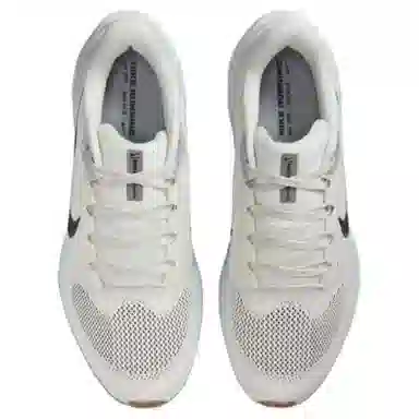 Nike Zoom Pegasus 41