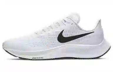 Nike Pegasus 37 White