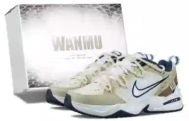 Nike Air Monarch 4 Sunset Cloud