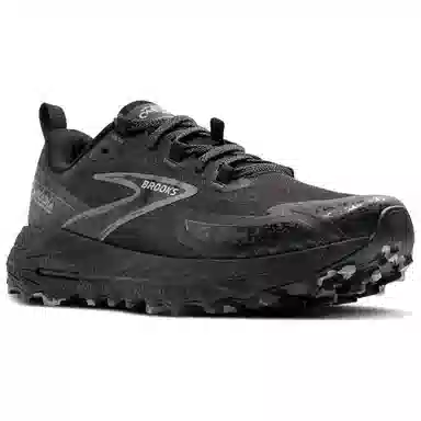 Brooks Cascadia18