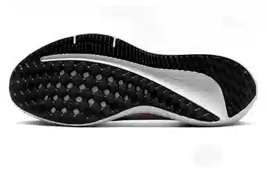 Nike Air Winflo 9 White Pink