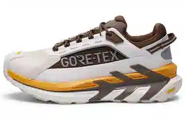 KOLON SPORT GTX MOVE ALPHA