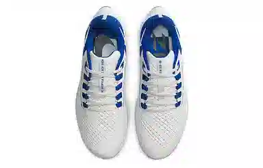 Nike Air Zoom Pegasus 38 "Kentucky"