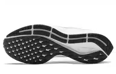 Nike Pegasus 36 White Green