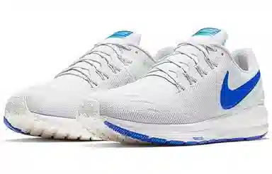Nike Zoom Structure 22