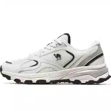 CAMEL Afternoon Tea 2.0