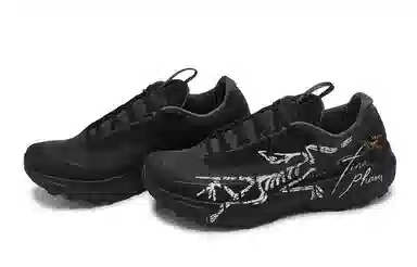 Arcteryx Norvan LD 4 811