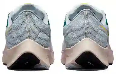 Nike Pegasus 38 Zoom PRM