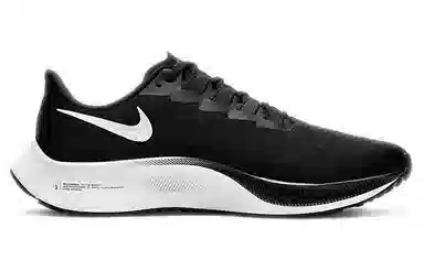 Nike Pegasus 37