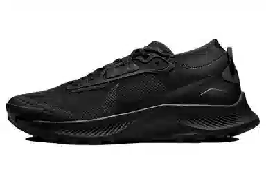 Nike Pegasus Trail 3 Gore-Tex Black