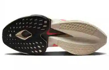 Nike Air Zoom Alphafly Next% 2 "Eliud Kipchoge"