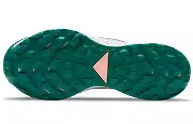 Nike Pegasus Trail 2