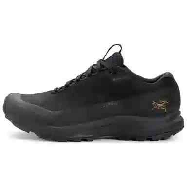 Arcteryx Aerios Fl 2 Gtx