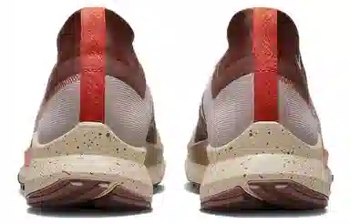 Nike Pegasus Trail 4 Gore-Tex