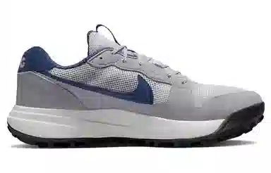 Nike ACG Lowcate Grey