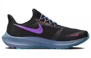 Nike Pegasus FlyEase SE