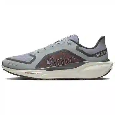 Nike Pegasus 41 GORE-TEX