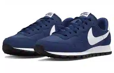 Nike Air Pegasus Low Blue