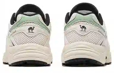 CAMEL Light Shadow 2.0