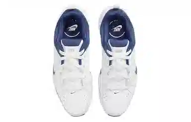 Nike Defy All Day White Blue Silver