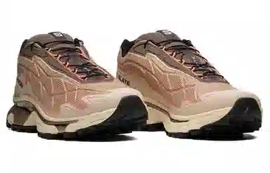 Salomon XT-Slate Advanced Brown