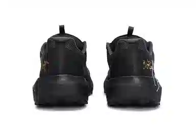 Arcteryx Norvan LD 4 811