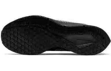 Nike Pegasus 36 Shield Black