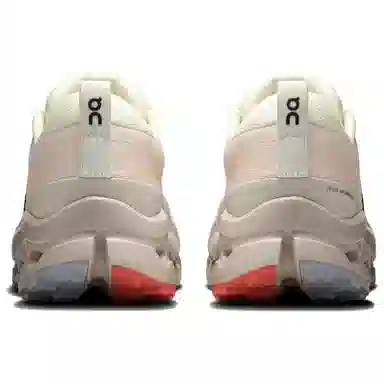 On Cloudsurfer Trail 2