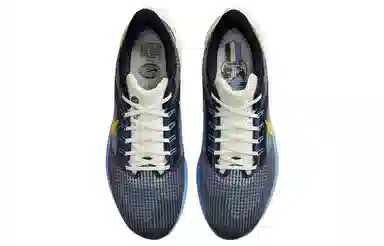 Nike Air Zoom Pegasus 39 Premium