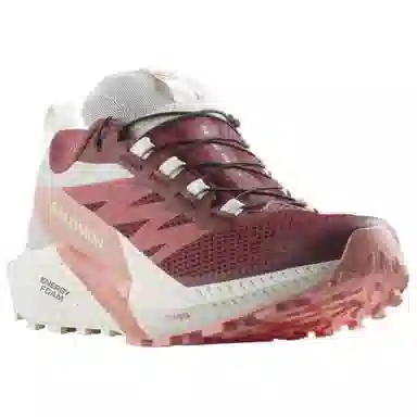 Salomon Sense Ride 5 GTX